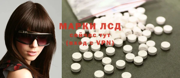 индика Инта