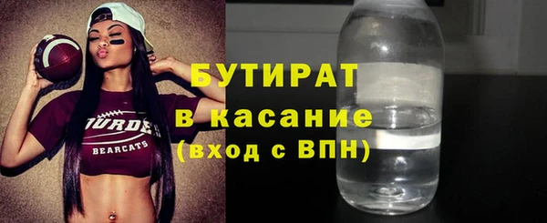 индика Инта