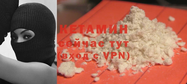 индика Инта
