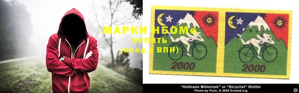индика Инта