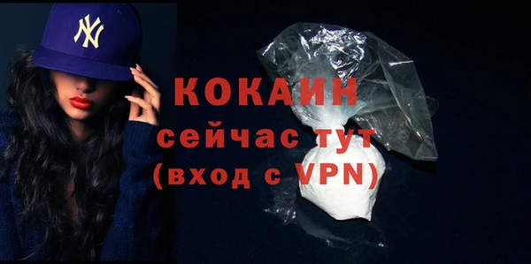 индика Инта