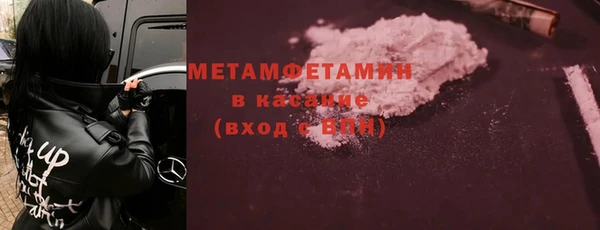 индика Инта