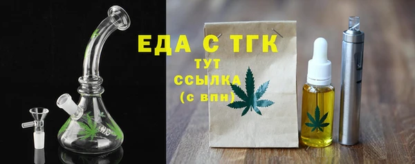 индика Инта