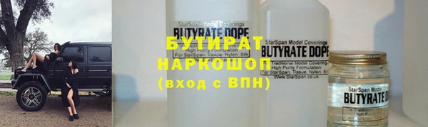 индика Инта