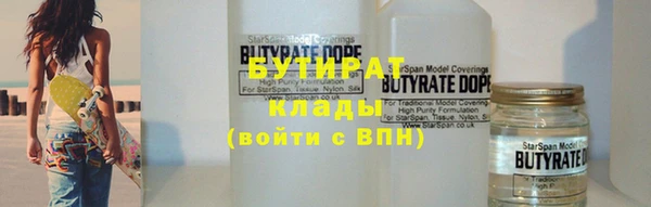 индика Инта