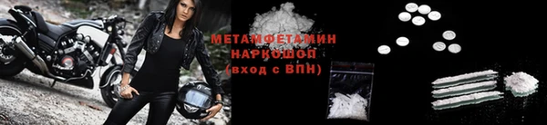 индика Инта