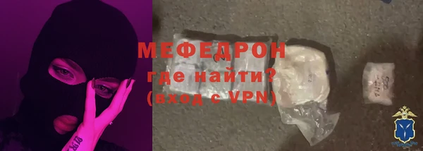 индика Инта