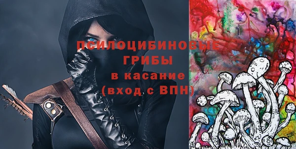 индика Инта