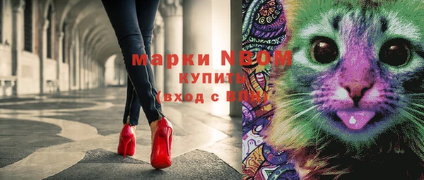 индика Инта