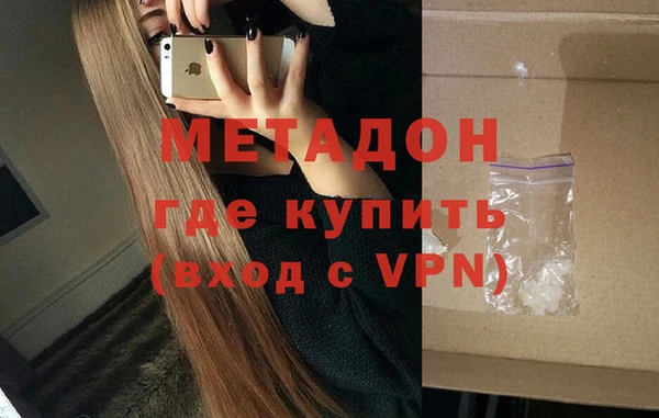 индика Инта