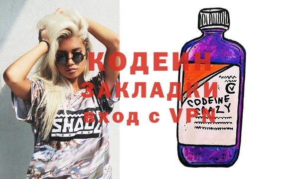 индика Инта