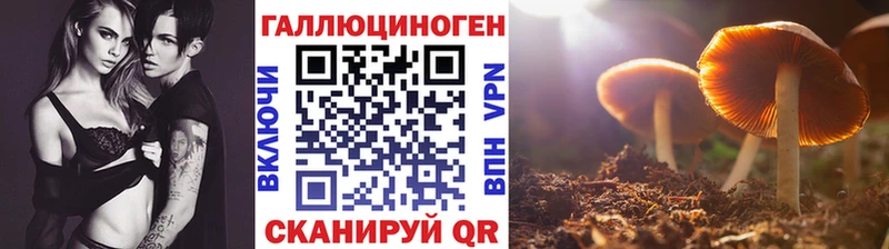 Галлюциногенные грибы Cubensis Красный Сулин