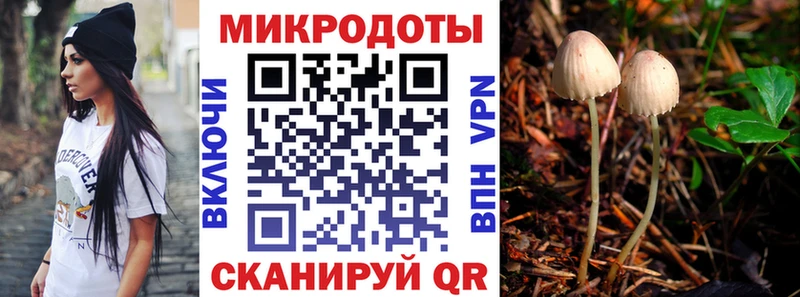 Купить  Красный Сулин  Псилоцибиновые грибы Magic Shrooms 